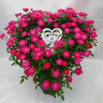 可愛いハート型リングを斜めにして立体感を出したボリューム満点の商品です。