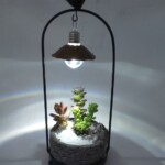 涼しげな鉢に可愛い多肉が植えられた商品。暗くなったら上の照明でライトアップ!