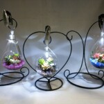 多肉を植えた可愛いガラスの3タイプをアソートし、クリップライトをセットしたタイプです。夜の雰囲気を演出してくれます。