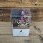 綿花などカラフルなドライフラワーを使ったスワッグがクリアケースに入った商品。 ボリューム満点です。