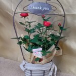 ホワイトデーや母の日など感謝をこめたプレゼントにいかがでしょうか