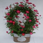 ハイタックスの№1ロングセラー商品がついに進化した!ガーデン調のブリキ入り商品です