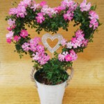 今年の新商品で、とても可愛いハートの形をしたリングです。 ぜひ、プレゼントにいかがでしょうか