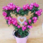 今年の新商品で、とても可愛いハートの形をしたリングです。 ぜひ、プレゼントにいかがでしょうか