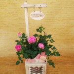 ウッドテイストのカゴにミニバラを1鉢いれたガーデン向けの商品です