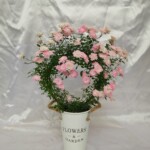 人気のミニアーチをガーデン風のブリキの器に入れた商品です