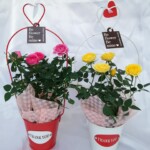 アイアンでハートのワンポイント取っ手とブリキ缶にサンキューのプレートまで付けた可愛い商品です