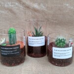 これからの時期にピッタリなミニサボテンが透明グラスに植えられた商品。
動物ピック付きです。