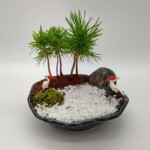 庭園をイメージしたお正月向けの寄せ植え。可愛い鶴のピック付き。