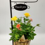 止まり木の下にバラが咲いているようなイメージの商品です。