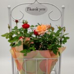 スイングポーチの2鉢入りバージョンです。バスケットがゆらゆらスイングします。