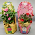 可愛いデザインの手提げ付きクラフトBOXにミニバラを入れました。