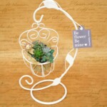 付属のアイアンスタンドにバスケットをハンギング(吊り下げる)する商品です。お好みで多肉入りバスケットだけをお部屋や玄関のフックなどにも!